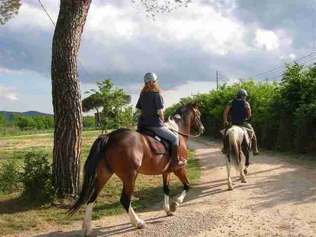 passeggiate a cavallo