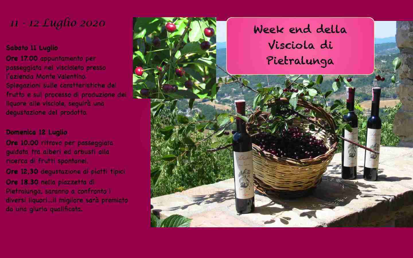visciola