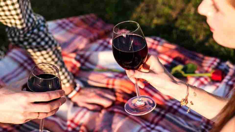 picnic1