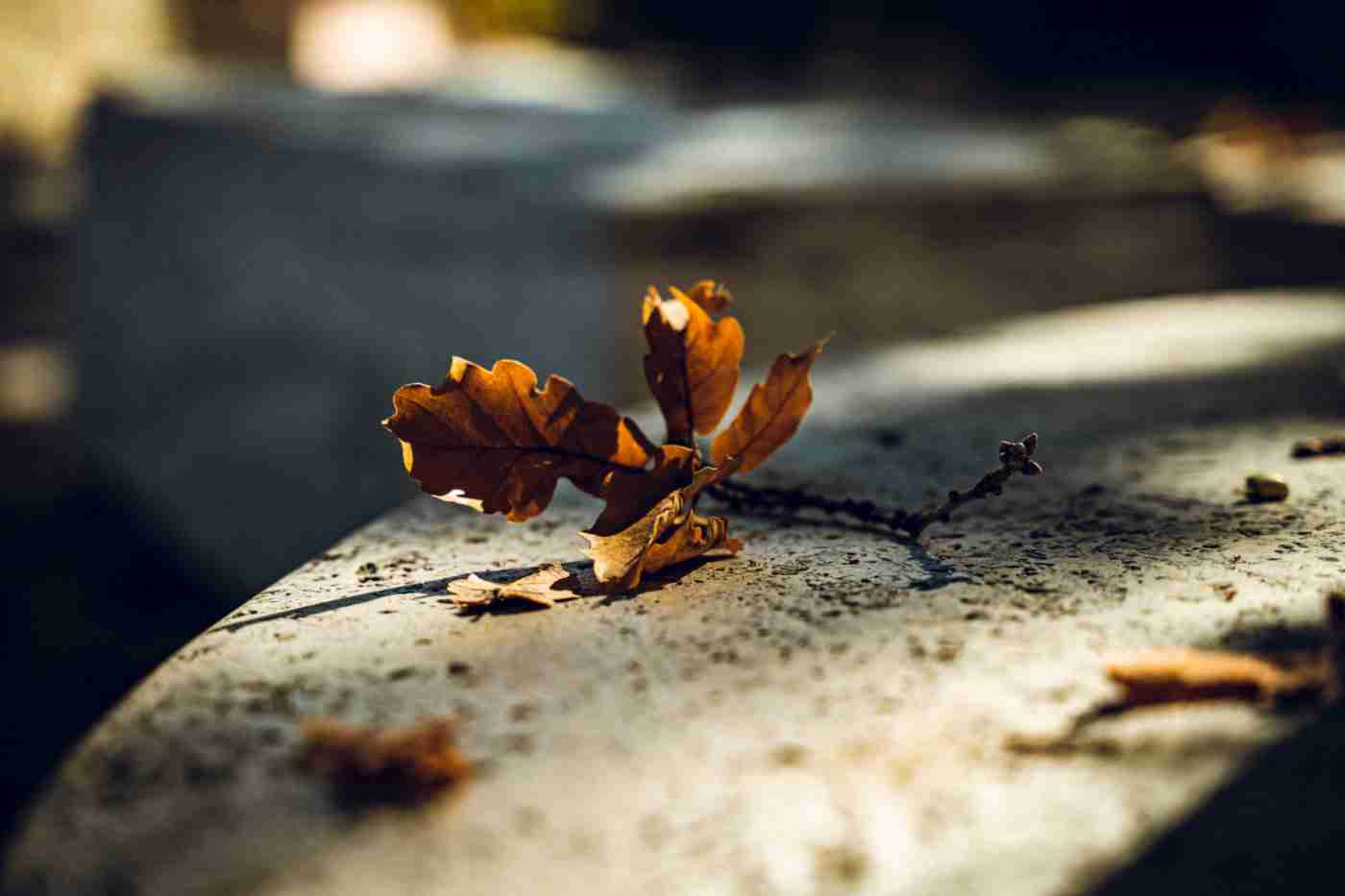 Week end Umbria novembre